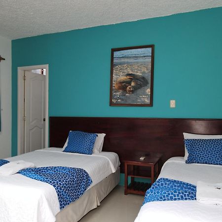 Hotel La Gran Tortuga - ᯤ Starlink Puerto Villamil Zewnętrze zdjęcie
